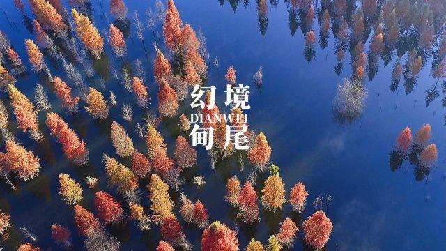 神都夜行录